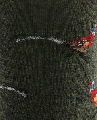 Corgi heren sokken | Groen