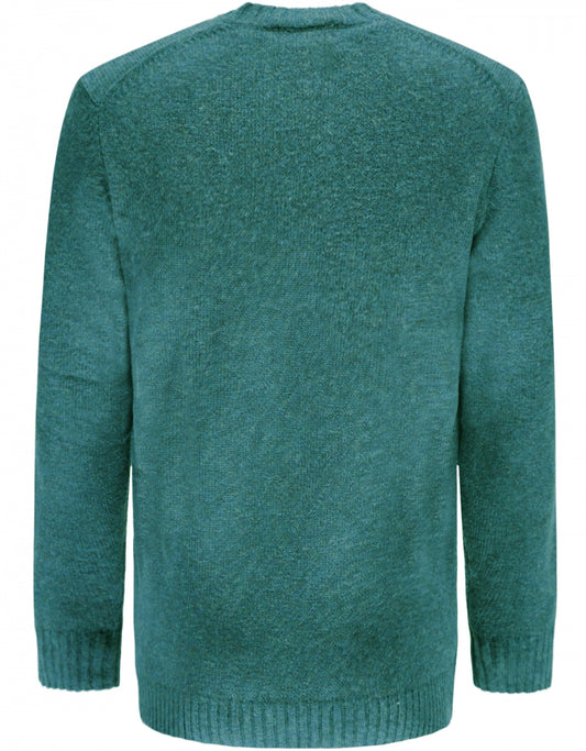 Alan Paine Shetland Pullover mit Rundhalsausschnitt | Grün