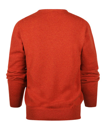 Pullover Lamswol dutch fit v-hals | Bruin