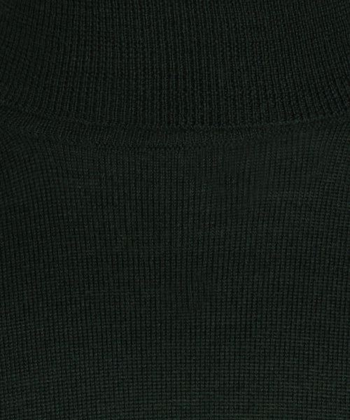 Coltrui Merino wol | Groen