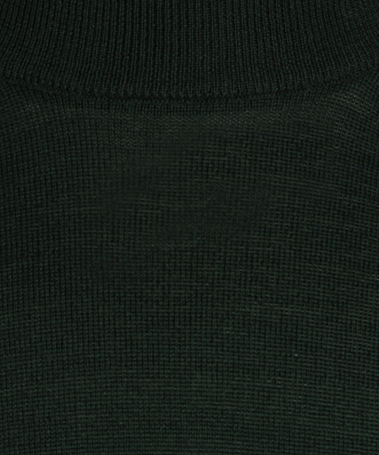 Turtle sweater Merino wool | Green