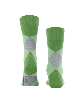 Clyde heren sokken | Groen