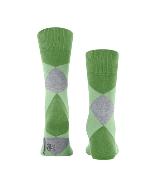 Clyde heren sokken | Groen