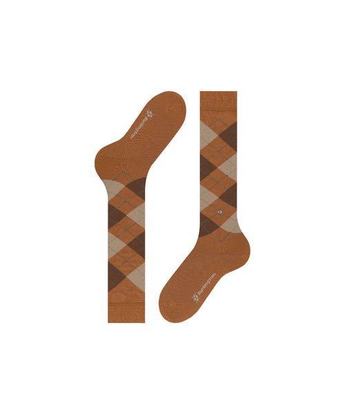 Burlington Marylebone knielang | Bruin