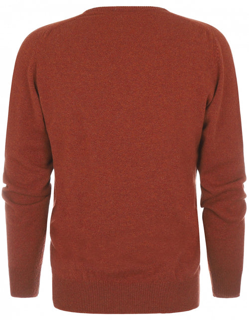 Pullover Lamswol ronde hals | Tiger