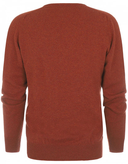 William Lockie V-Ausschnitt-Pullover aus Lammwolle | Tiger