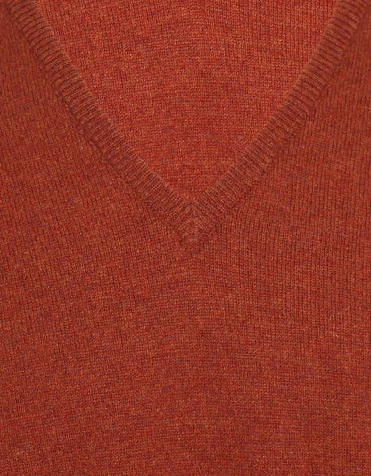 William Lockie V-Ausschnitt-Pullover aus Lammwolle | Tiger