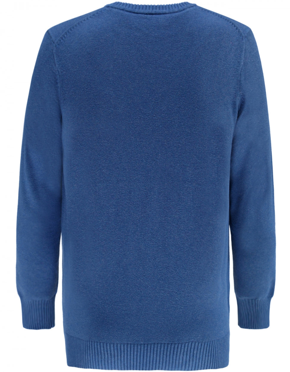 Classic cotton v-neck sweater | Blue