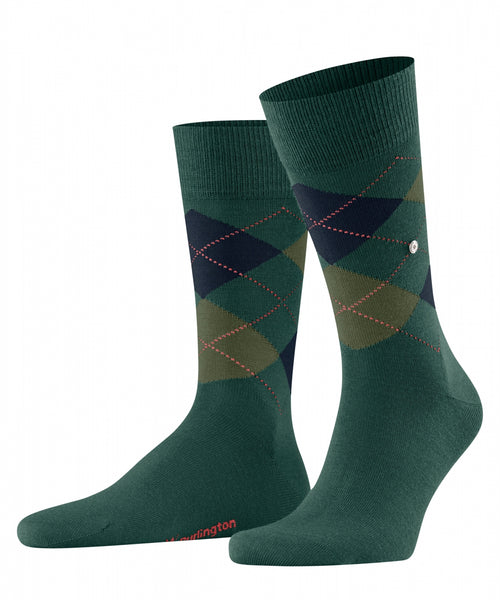 Edinburgh heren sokken | Groen