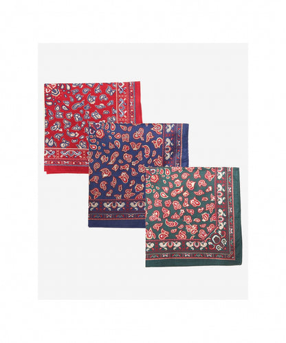 Barbour Handkerchief 3-pack | Paisley Hankies