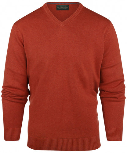 Cotton v-neck sweater | Brown