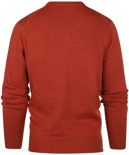 Cotton v-neck sweater | Brown