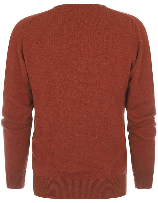 Pullover mit V-Ausschnitt aus Lammwolle *Sale* | Tiger