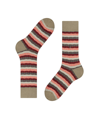 Burlington Signature Stripe | Brown