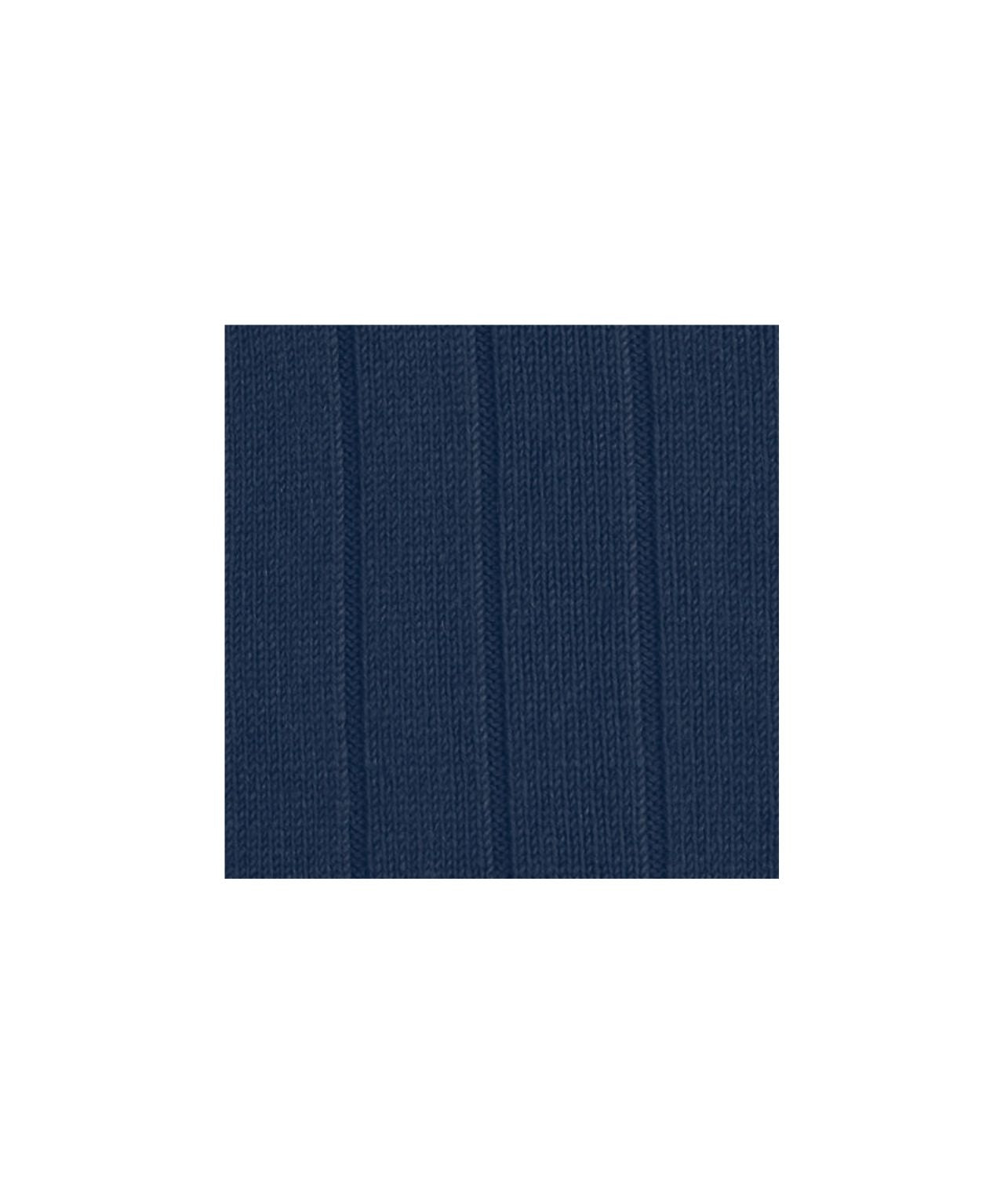 Lhasa Rib Men's Socks | Blue