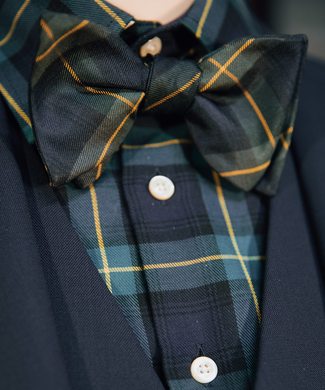 Zijden Strik 90 Years Edition | 90 Y Green